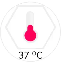 BODY TEMPERATURE ADD ON: