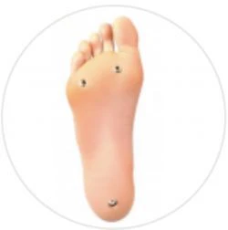 Leg Configurations (WM Doll - Body) - Image 2