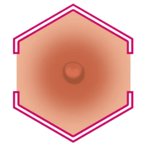 SELECT NIPPLE COLOR - Image 4